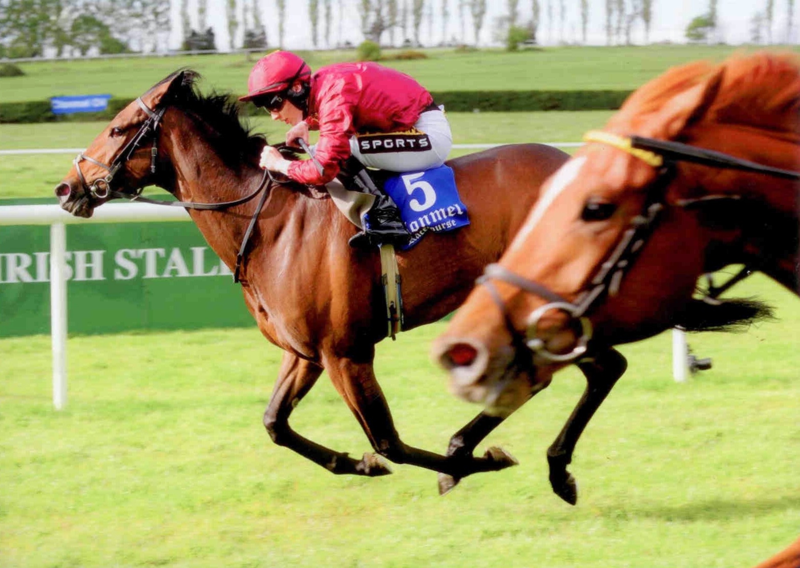 BROWN BEE wins her maiden at Clonmel on Thursday 7th May 2015